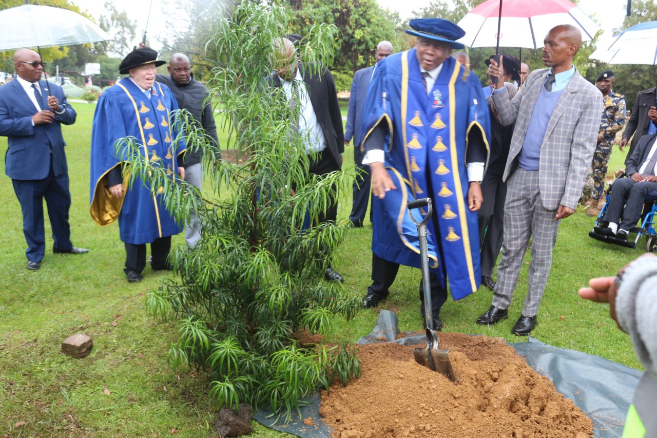 king-leads-80th-anniv-tree-planting
